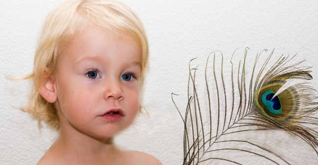 GEZOCHT: De mooiste kinderfoto van de Zaanstreek & IJmond!