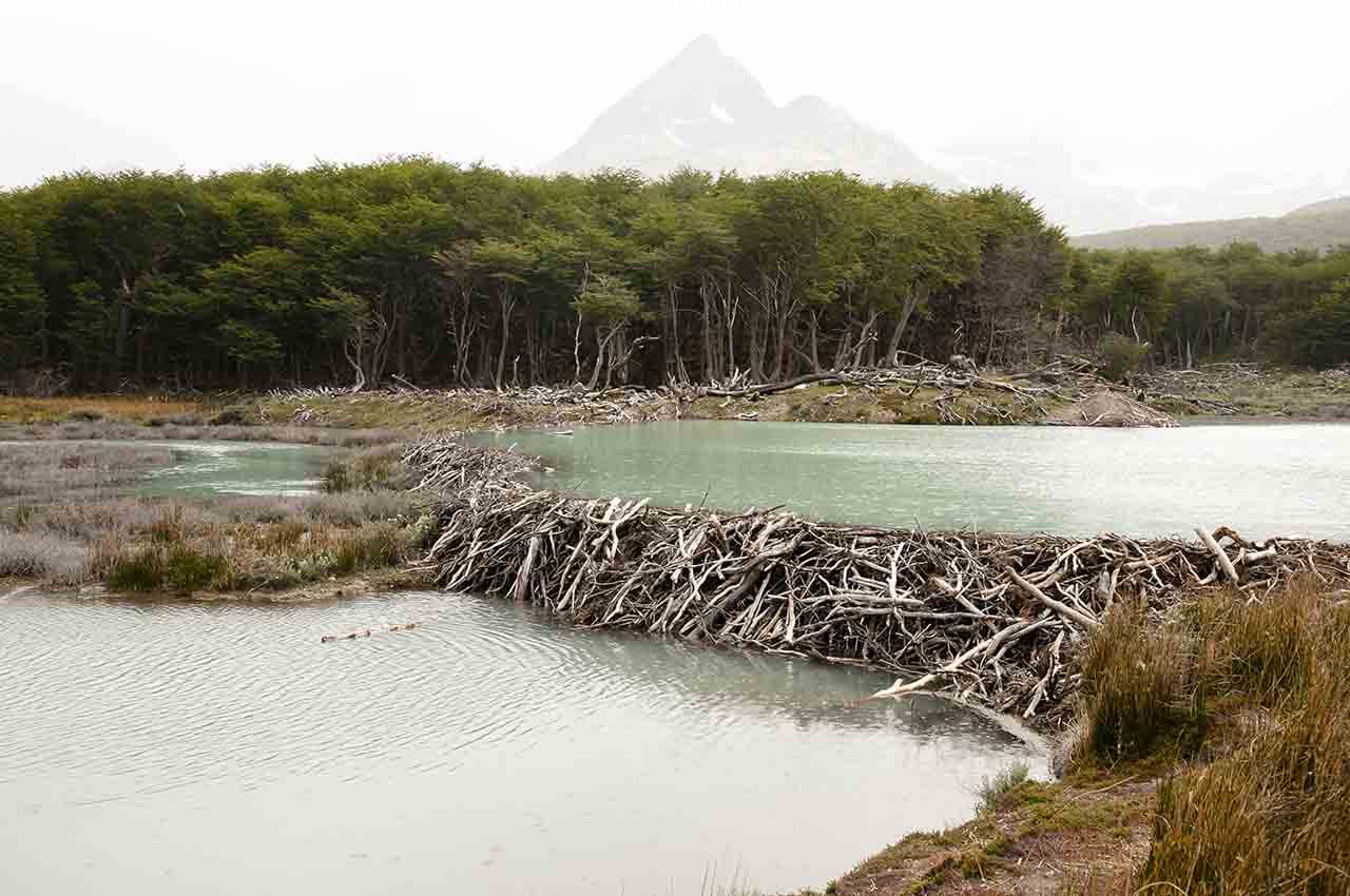 Doorbreek je persoonlijke dam