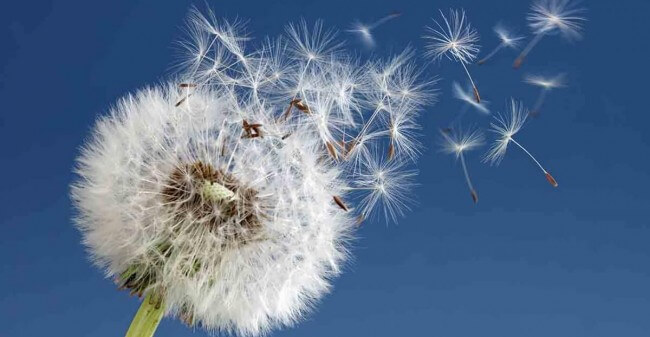 Mindful ont-moeten
