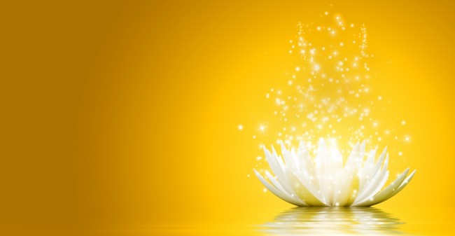 Effectieve anti-aging