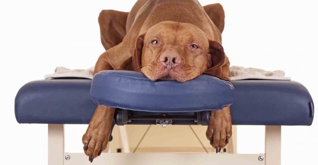 Voeding en massage tegen stress