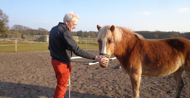 Wie stuurt het paard?