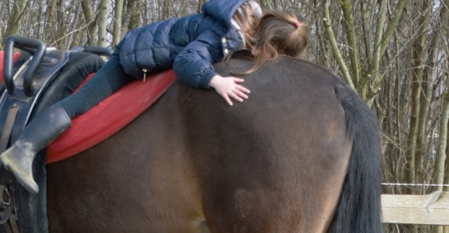 Een dier als therapeut
