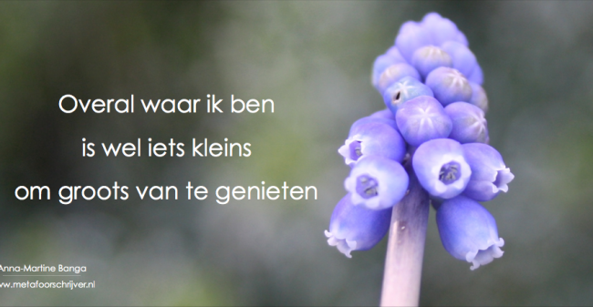 Nieuwe inzichten voor jouw leven