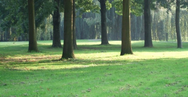 Een overlijden is nog erger voor een kind