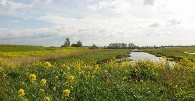 De natuur houdt je gezond