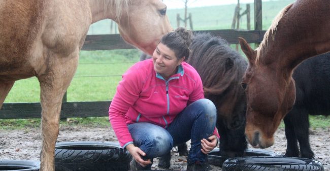 Een paard als coach