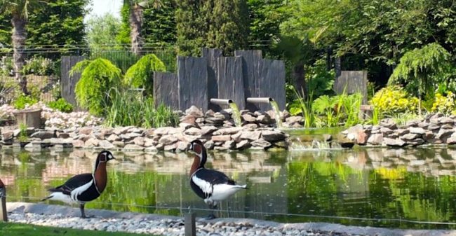 Die tuin die jij altijd al had gewild