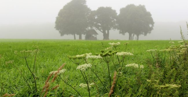Bewuster, gezonder en duurzamer leven