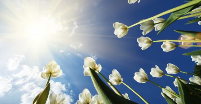 Mindfulness laat je groeien