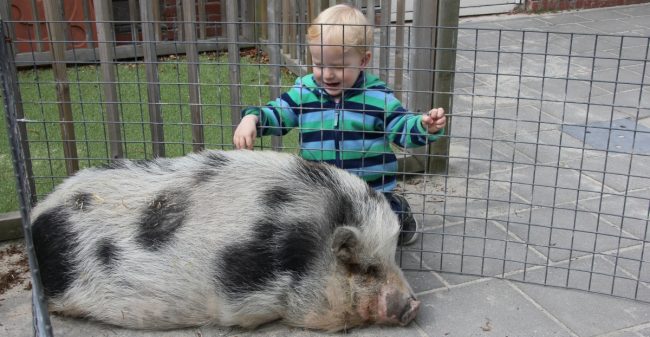 Een plek waar kinderen kind kunnen zijn