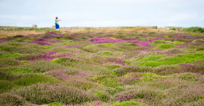Zorg voor je emoties, zorg voor jezelf