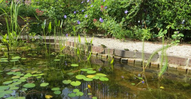 Een tuin waar je blij van wordt