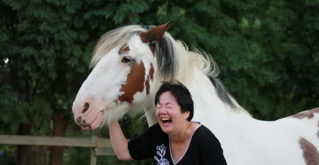 Een paard als coach