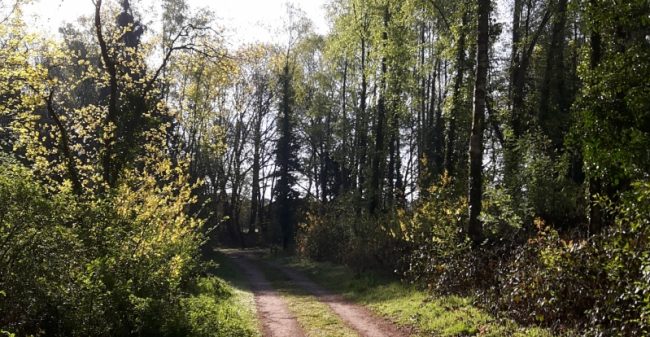 Praten over je uitvaart geeft rust