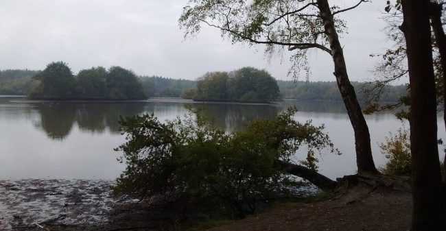 Stervensbegeleiding is eigenlijk doodgewoon