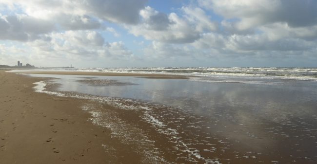 Werkstress? Gun jezelf een natuurlijke pitstop!