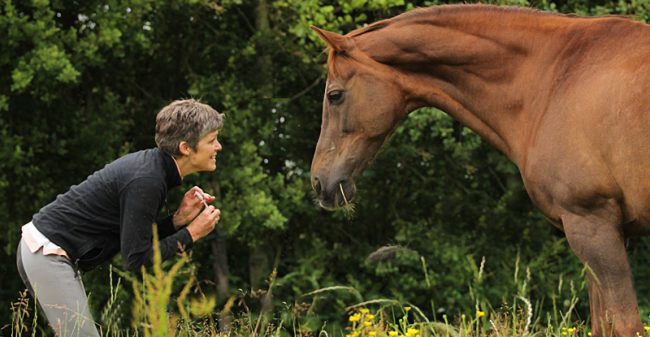 Harmonie tussen lichaam en geest