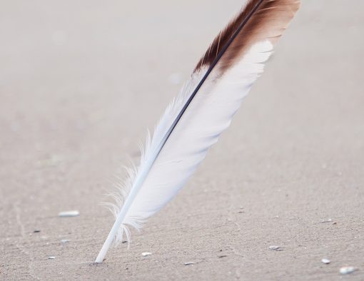 Ontwikkel je veerkracht met mindfulness