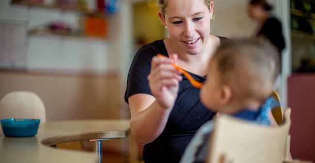 Groeien van rups tot vlinder