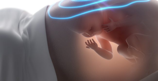 Maak nu alvast kennis met jullie baby!