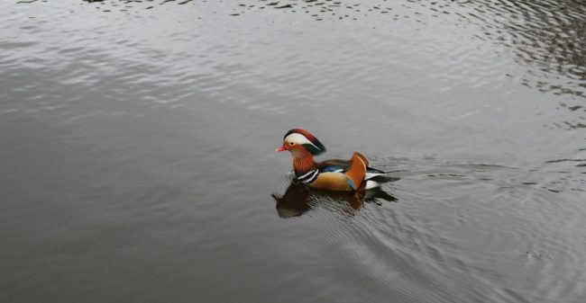 Elk moment een moment voor geluk