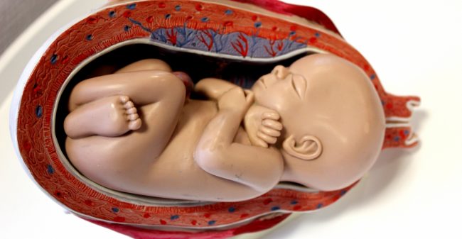 De allerbeste start voor jouw baby