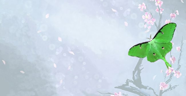 Natuurlijk tot rust komen