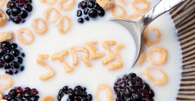 Stress, voeding en hormonen
