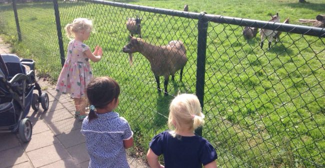 Gezond eten en bewegen in de kinderopvang