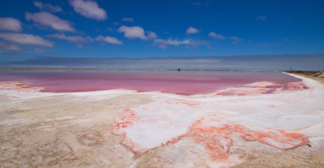 Jouw mineralenhuishouding weer in balans