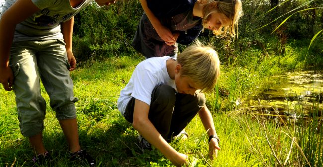 De natuur in!