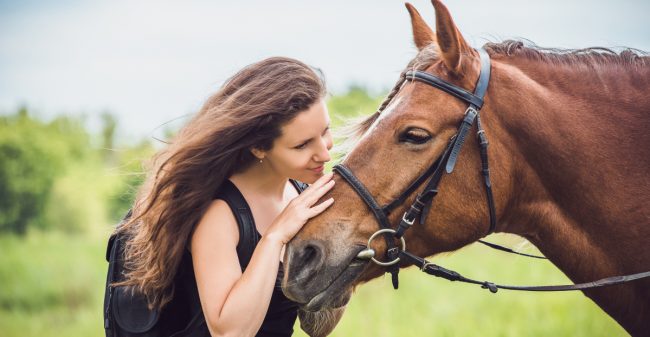 Een paard als co-coach bij stress of burn-out