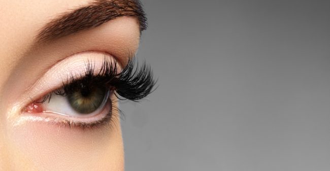 Het oog wil ook wat