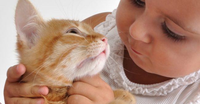 Kittens, puppy’s & kinderen