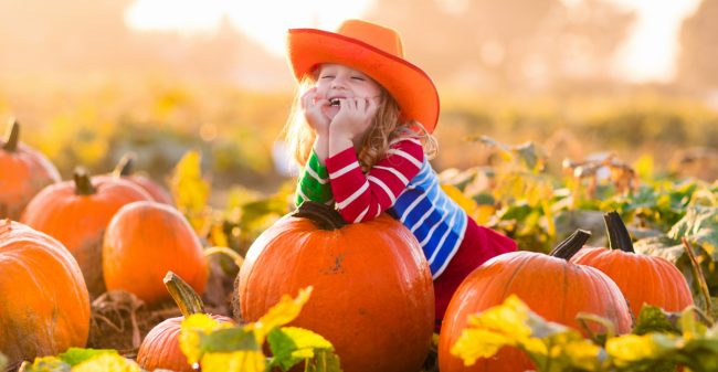 Hartverwarmende herfstgerechten op jouw bord