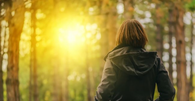 Emoties verwerken met hart en ziel