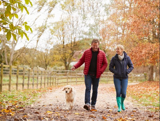 Werken aan je gezondheid? Natuurlijk!