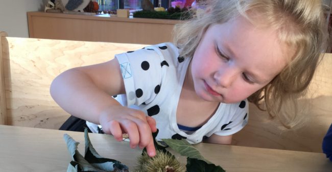 Gekleurde bladeren & glanzende kastanjes