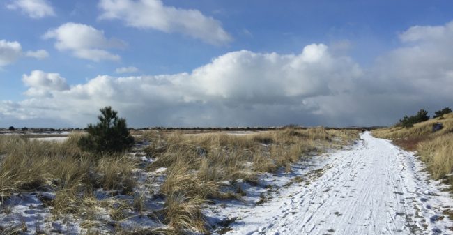 Welk pad bewandel jij?