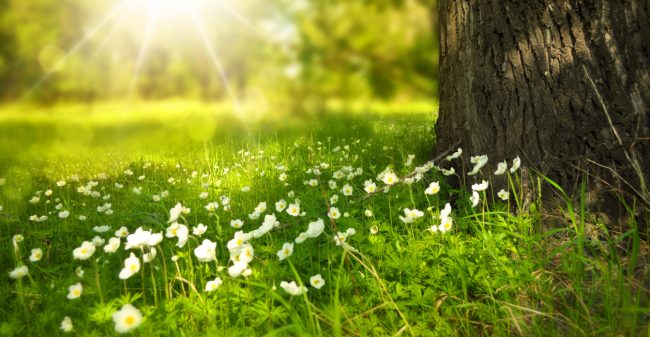 Reiki: een onderdompeling in rust