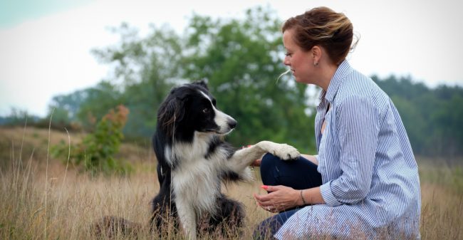Jouw hond als spiegel