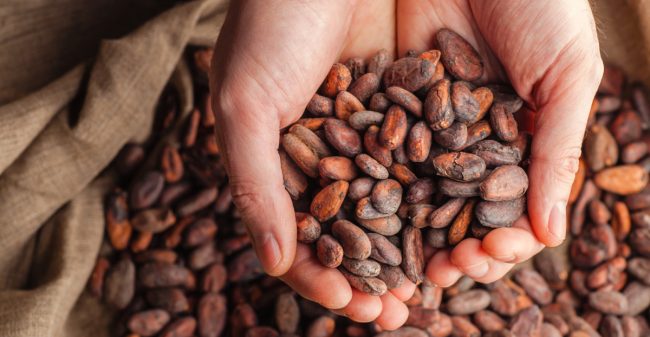 Chocolade: duurzaam en (h)eerlijk