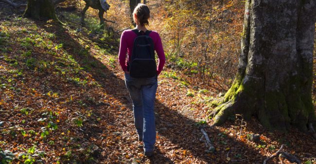 Wandelend leren over vitaliteit
