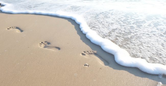 Kanker en werk: ‘Stevig in het zand’