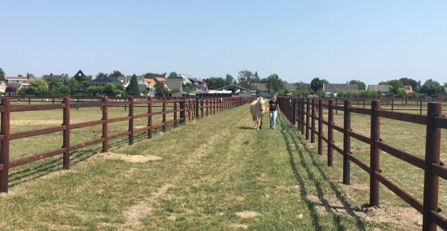 ‘Onbegrepen in de bewoonde wereld’