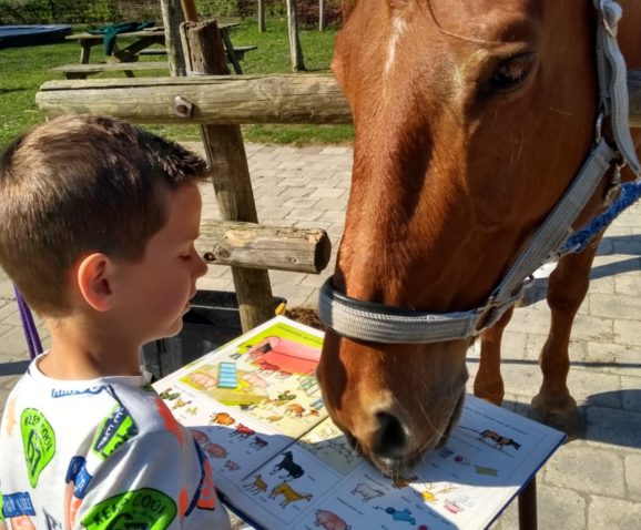 De zorgboerderij als veilige plek voor je kind
