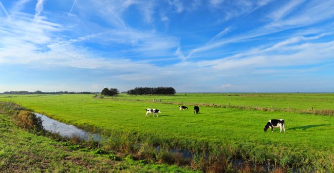 ‘Het is hem wel’