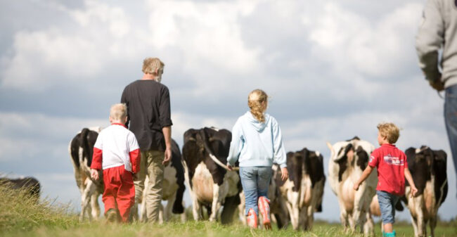 Lekker weg in eigen land