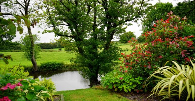5 tips voor een onderhoudsvrije tuin